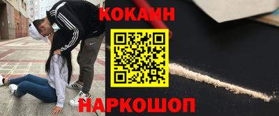 крисы Шебекино