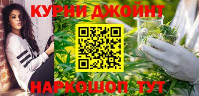 крисы Шебекино