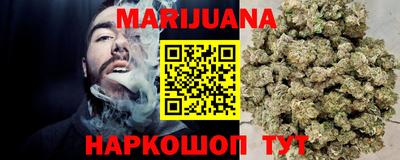 крисы Шебекино
