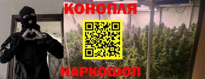 винт Шахты