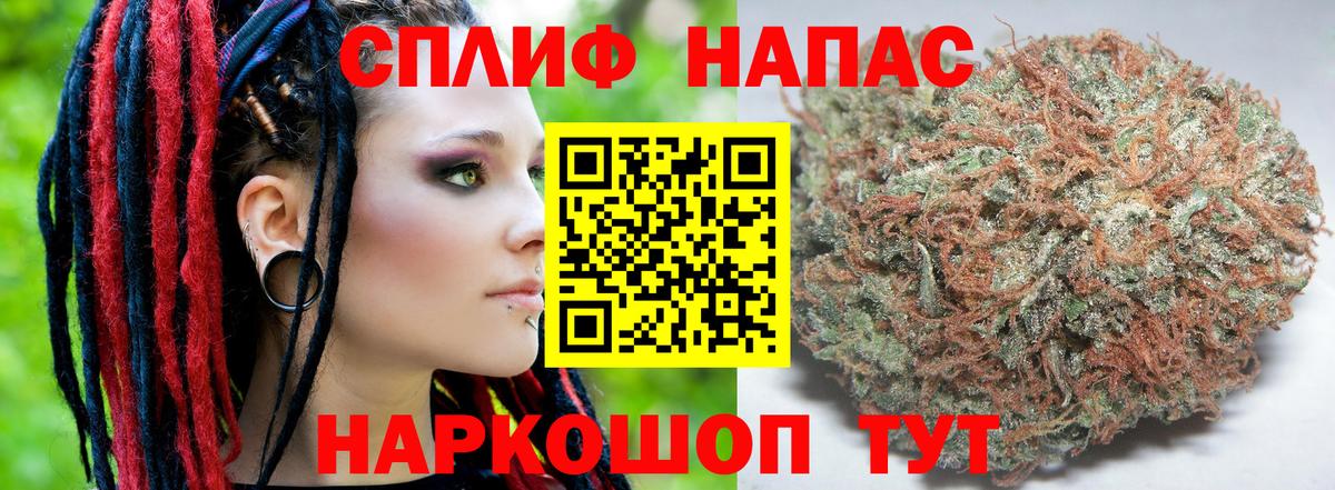 Каннабис Amnesia  Вход с VPN  Артём  Марихуана Ganja 